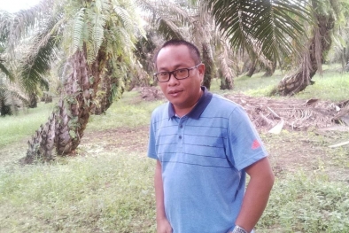 Petani Mulai Jenuh dengan Sistem BPDPKS, Lho Kok?