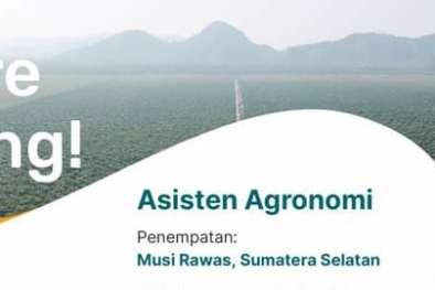 PBS Sawit Ini Buka Lowongan Kerja, Penempatan di Sumsel