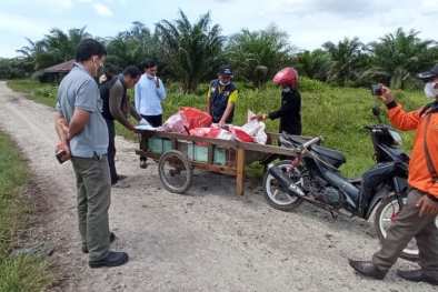 Sampel Sawit Petani Bengkalis Dikumpulkan untuk Uji Rendemen