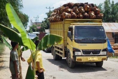 Begini Cara Toke Asep Jaga Sopir dan Armadanya Demi Kenyamanan Petani Sawit