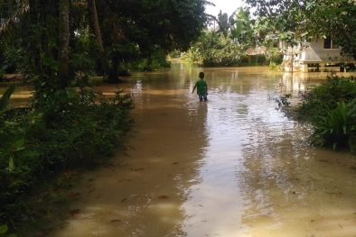 Luapan Sungai Indragiri Bikin Pekarangan Rumah Warga Kayak Gini