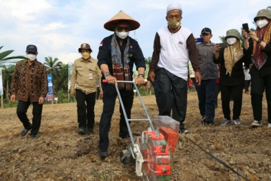 Mentan Syahrul: PSR Kudu Diperhatikan Biar Tak Kehilangan Produktivitas