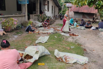 Petani Sawit Berharap Dibantu Raih ISPO