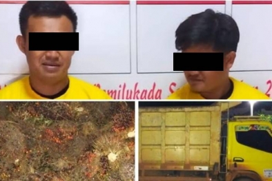 Mandor ini Nekat Gelapkan 1 Truk Sawit