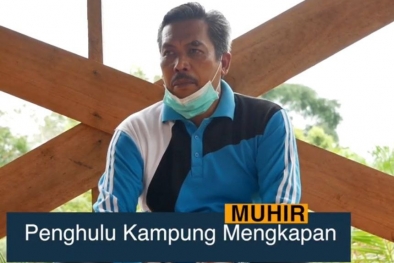 Seluruh Kebun Sawit di Mengkapan Berlahan Gambut