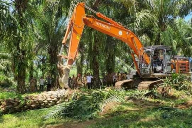 Duit PSR Diselewengkan Buat Beli Lahan, Tanam Jeruk dan Karet