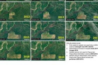 NASA Rilis Foto Deforestasi di Papua, KLHK: Itu Izin Perusahaan Sawit 2009