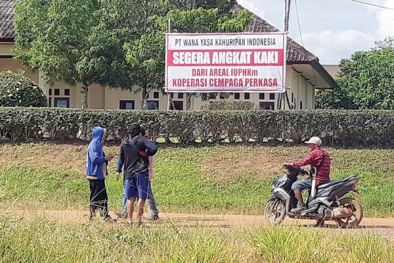 Tanami Lahan Tanpa Izin, Perusahaan Sepakat Berbagi Hasil Panen