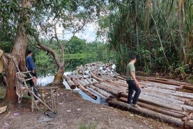 Kepergok Hanyutkan Kayu Ilegal Melalui Sungai, 