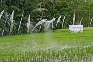 Tekhnologi Baru, Drone Bisa Semprot Pupuk ke Sawah