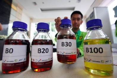 Mandatori Biodiesel Bukti  Indonesia Turunkan GRK