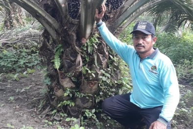 Supaya Sejahtera, Petani Musti Berlembaga dan Kelompok