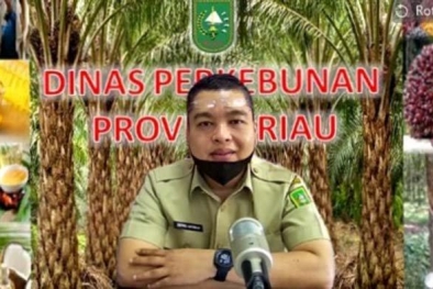 Harga Sejumlah Komoditi Perkebunan di Riau Stabil, Ini Rinciannya