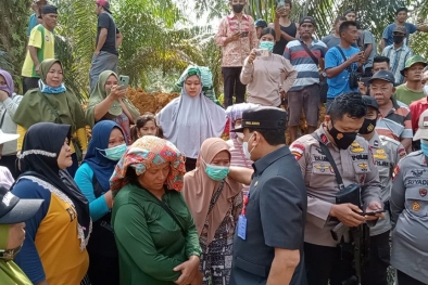 PT Wanasari Jawab Plt Bupati Kuansing: Itu Lahan Kami