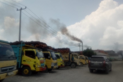 DLH Siak Nilai Limbah Teguh Karsa Rusaki Lingkungan