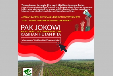 Sawit Tanaman Hutan Dituding Pesanan, Ini Raksasa Yang Diuntungkan