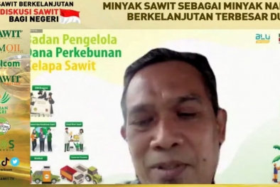 Genjot PSR, Industri Sawit Dalam Negeri Aman