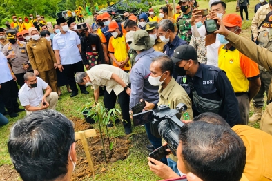 Tanam Ribuan Pohon untuk Redam Kampanye Hitam Sawit