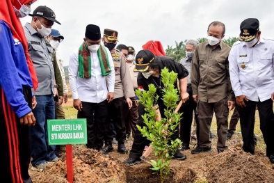 Hari Ibu, Menteri LHK Tanam Pohon Buah di Riau