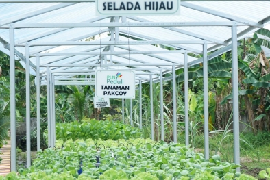 Strategi Kementan dan PLN untuk Petani Modern