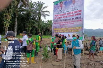 Petani Sawit Bakal Minta Menteri Pertanian Bertanggung Jawab