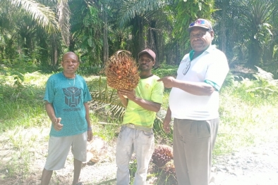 Petani Berharap Penurunan Harga TBS Tidak Terlalu Dalam