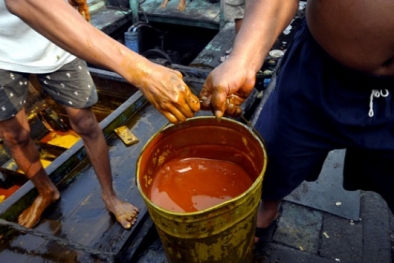 Minyak Sawit Gorontalo 