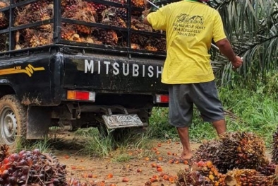 Kendala PSR di Kalimantan Timur Bikin Geregetan