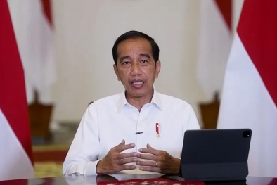 HGU Perkebunan Terlantar Seluas 34.448 Ha Dicabut Jokowi