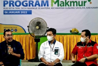 Program Makmur Jadi Solusi Petani Sawit Tingkatkan Produksi