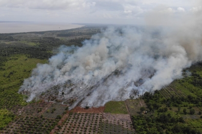 Dua Hektare Kebun Sawit kembali Terbakar di Siak