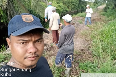 Tim Pengawas PSR Survei Kebun Calon Peserta PSR