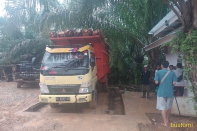 Petani ini Bikin Persaingan Bisnis Ram di Kampungnya Makin Ketat