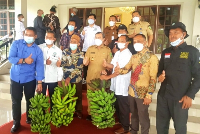 Petani Sawit dari Siak Bawa 25 Tandan Pisang untuk Gubernur Riau