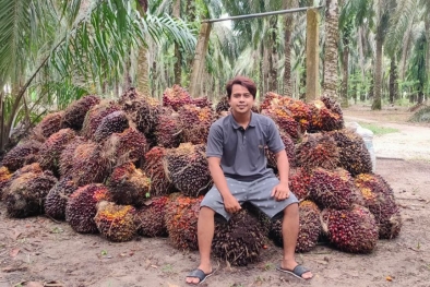 Kantong Makin Tebal di Awal Februari