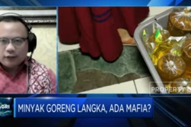 GAPKI Nilai Kebijakan DMO dan DPO Sudah Tepat di Tengah Tingginya Harga Migor