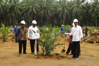 Petani Minta Peremajaan Sawit Seluas 18.571,2 Hektar di Sumsel