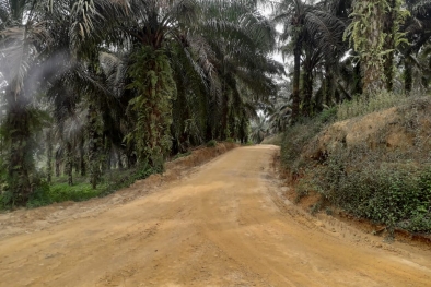 Awal Pekan Petani Jambi Diwarnai Kabar Baik dari Ram