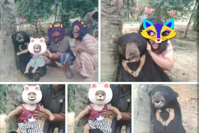 Viral Sekeluarga Swafoto dengan Beruang Mati, BBKSDA Riau Turun Tangan