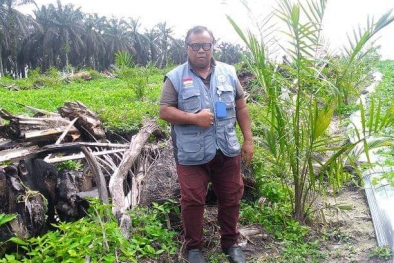 Petani Sawit Musti Mampu Bersaing