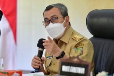 Gubernur Syamsuar dan DPR Cari Solusi Soal Kebun Sawit di Kawasan Hutan