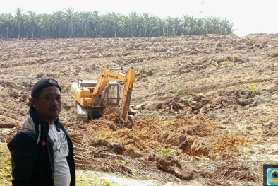 Disbun Riau Gamang Jalankan Aturan Baru PSR, ini Sebabnya