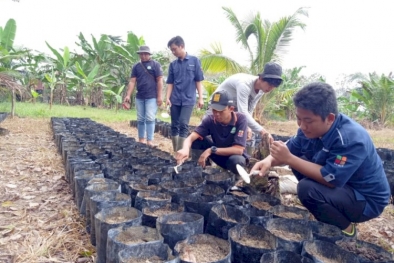 Mahasiswa Beasiswa BPDPKS di Kampar Kesulitan Cari Tempat Magang