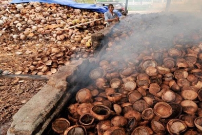 Catat! Berikut Harga Komoditi Perkebunan di Riau, Banyak yang Stagnan