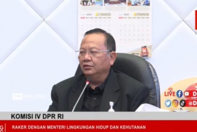 DPR: KLHK Harus Tindak Tegas Pelanggaran di Kawasan Hutan