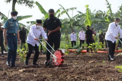 Wapres Ingin Warga Menanam di Lahan Perusahaan BUMN dan Swasta