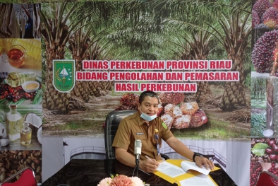 Harga Karet di Riau Cenderung Naik