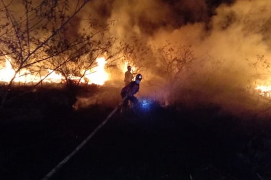 Malam-malam, Manggala Agni Padamkan Kebakaran Lahan Sawit di Kampar