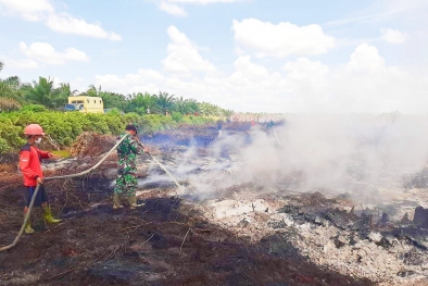 20 Hektar Lahan Gambut Terbakar Dekati Sawit, Petugas Lakukan Ini