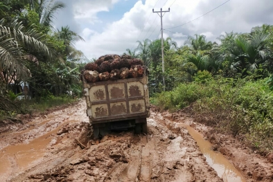 Petani di Daerah ini Mau Putus Hubungan dengan Ram